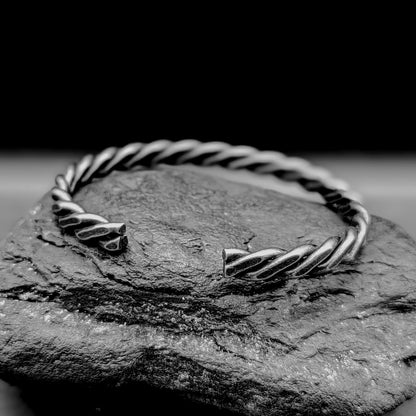 Twisted Torc