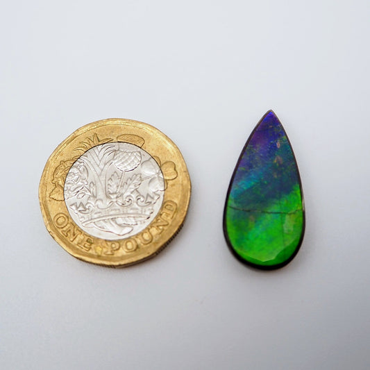 Ammolite